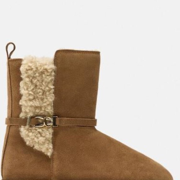 - Leather ankle boots - Picture 2 of 2